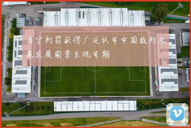 马宁判罚获得广泛认可中国裁判未来发展前景乐观可期